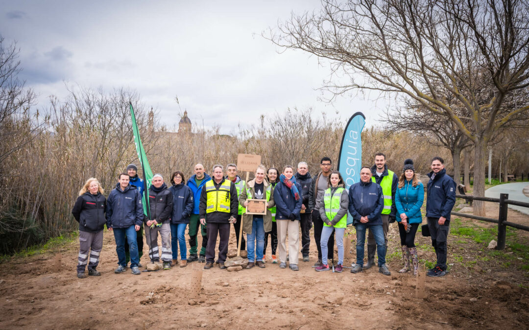 Nuevos árboles para Cuarte de Huerva: LUJAMA impulsa la regeneración de sus zonas verdes.